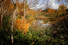 小さな池のほとり