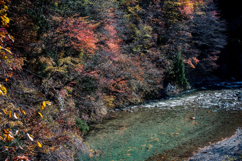 秋光浴びて