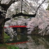 杉の大橋