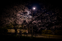 夜散歩のススメ　Ⅳ