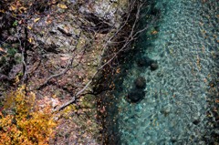 渓流に舞う