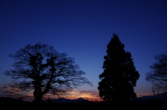 Ｔｗｉｌｉｇｈｔ Ｂｌｕｅ