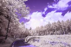 infrared