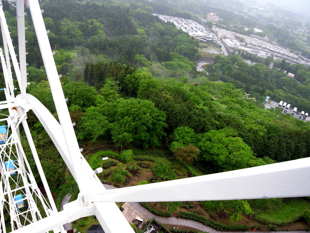 観覧車からの眺望