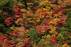 Ｃｏｌｏｒ Ｐａｌｌｅｔ