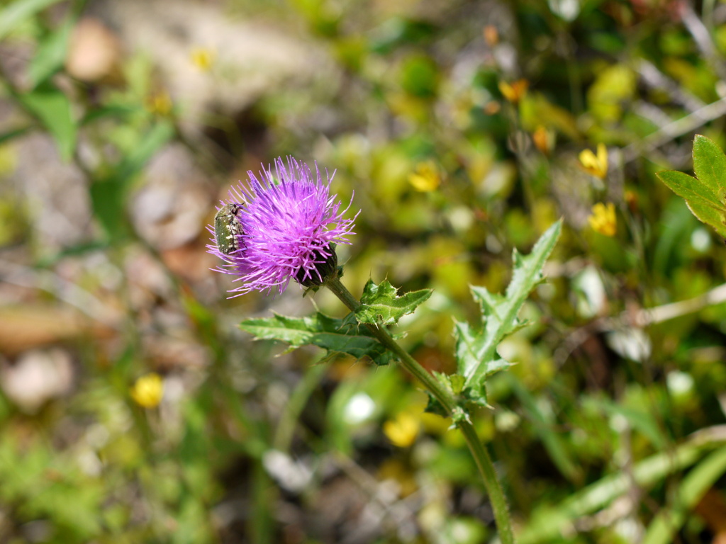 ただいま食事中。