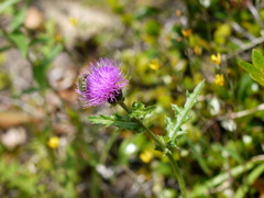 ただいま食事中。