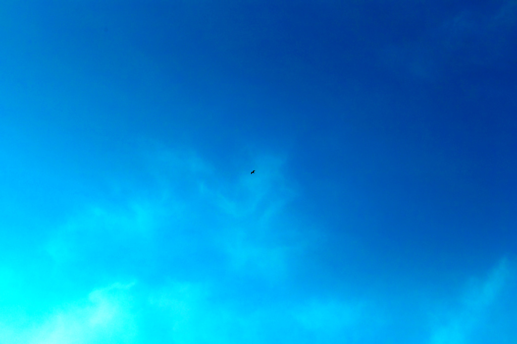 青空を独り占め