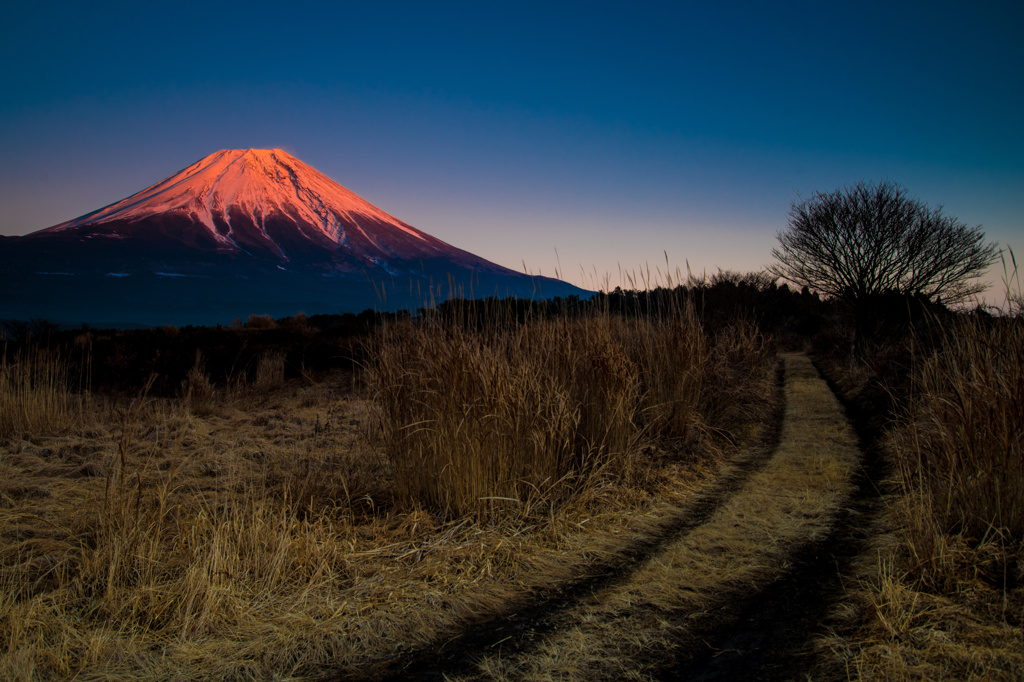 富士の夕景