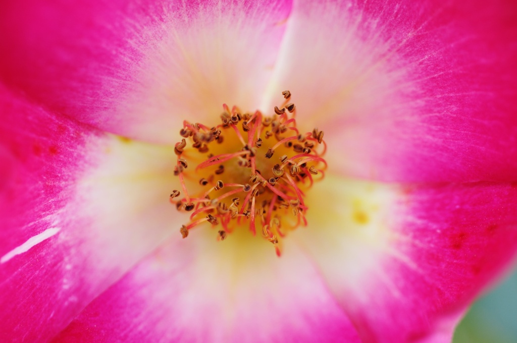 静かなひととき