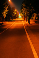 夜の道