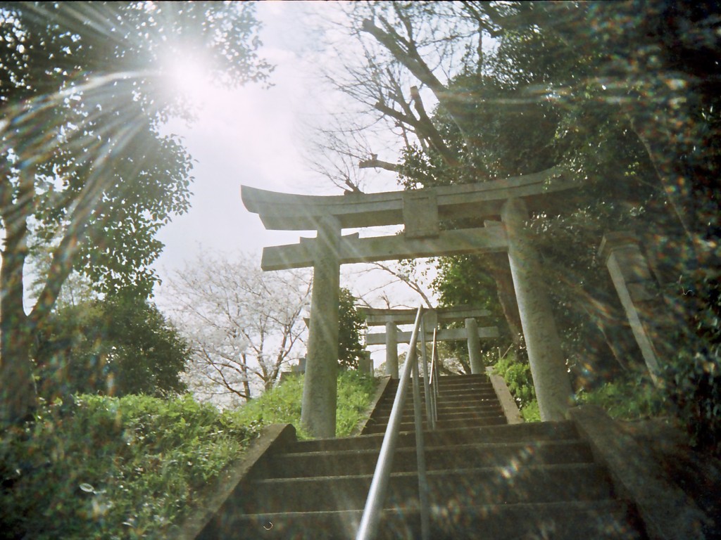 高台の神社２
