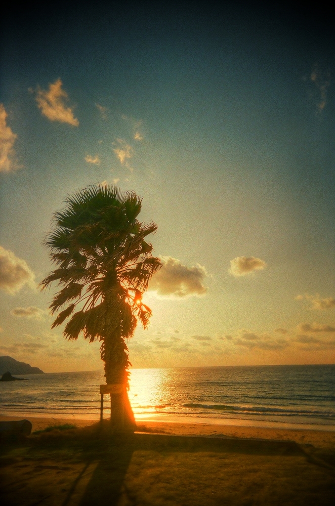 糸島　サンセット前
