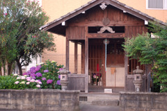 神社シリーズ１