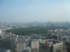 精巧すぎる