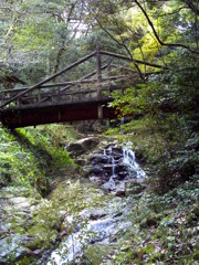 油山市民の森