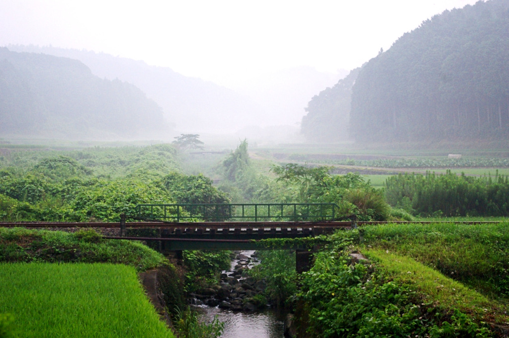 線路と霧