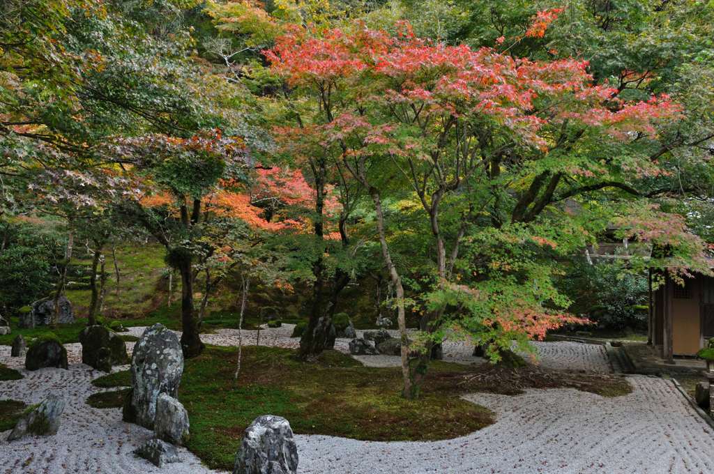 光明禅寺　庭園