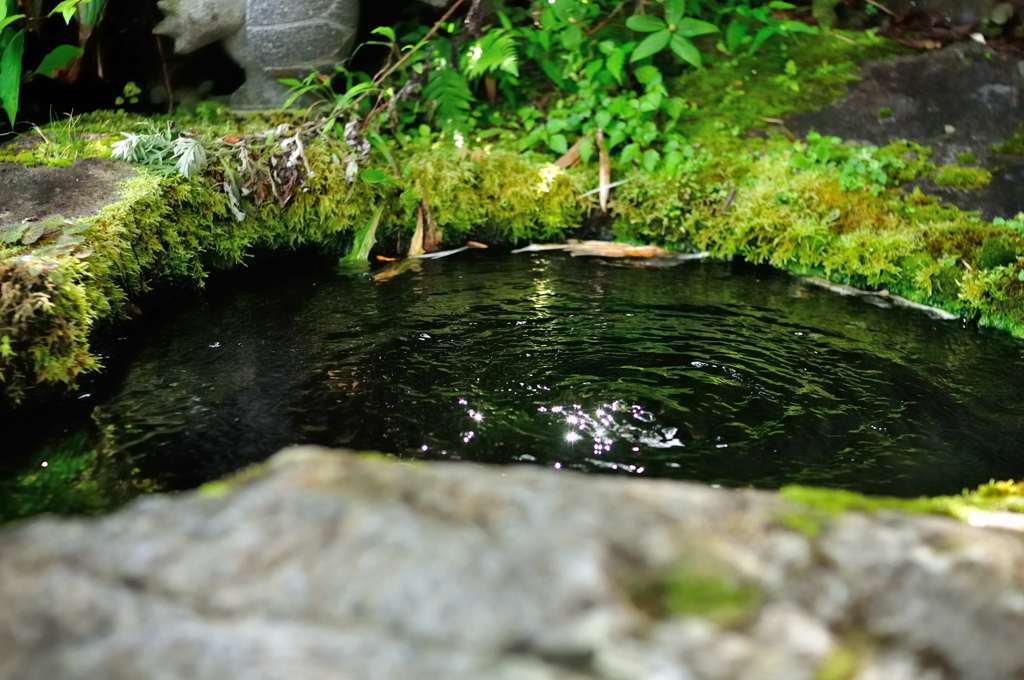 め組茶屋　炭酸水①