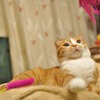 じらしてじらして･･･