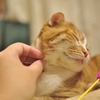 んふ♡
