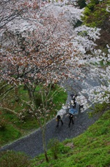 小雨の中で