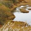 八島湿原の秋