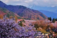 高遠の夕暮れ