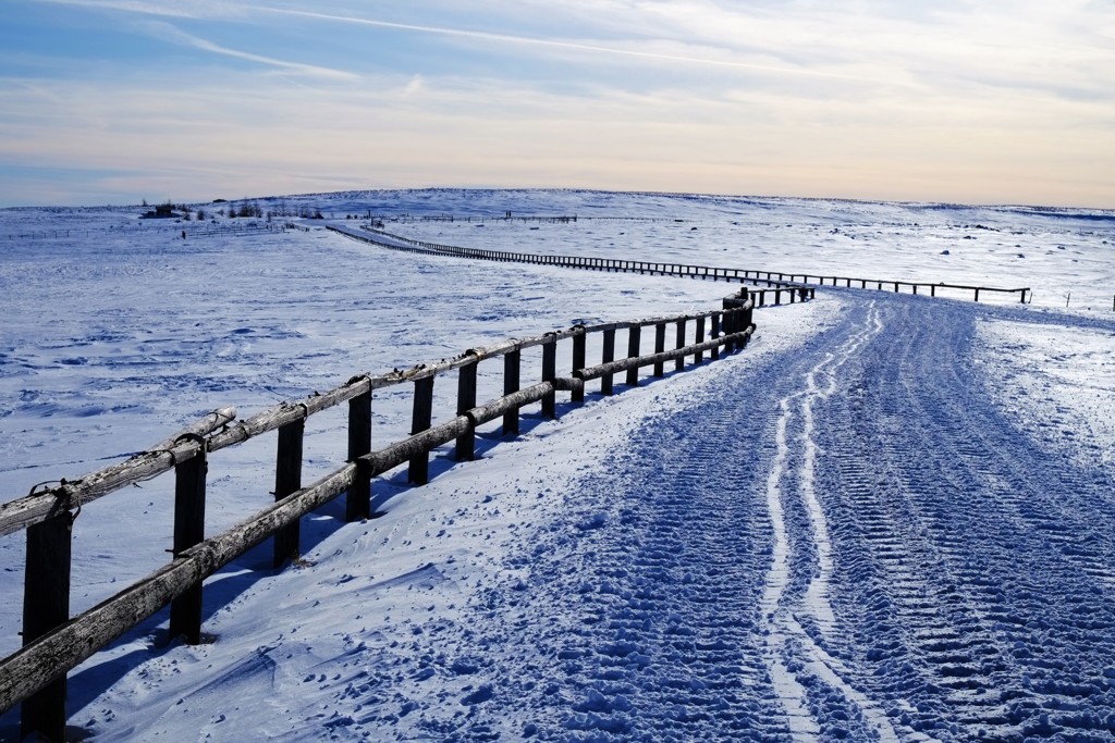 雪原