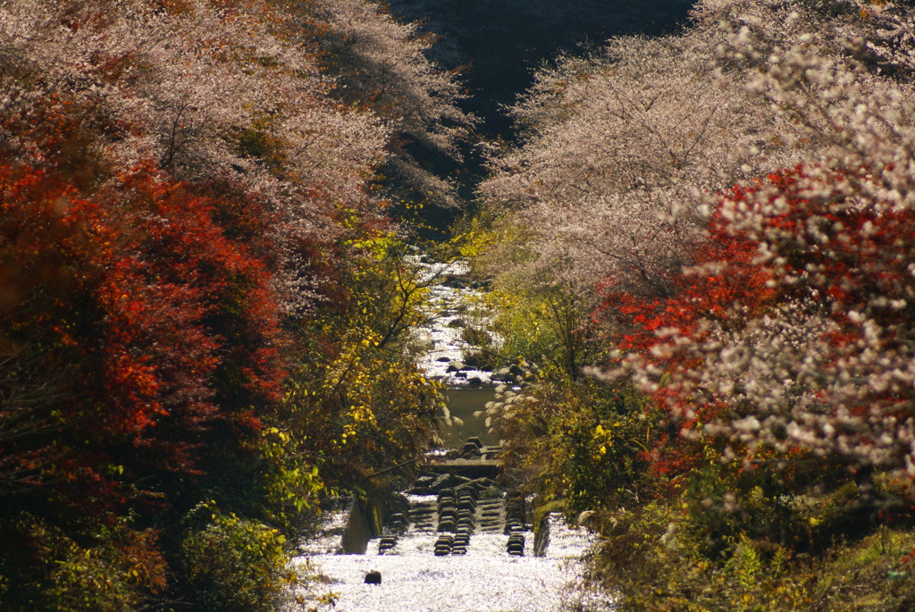 煌きのなかに