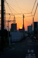 お家へ帰ろっと