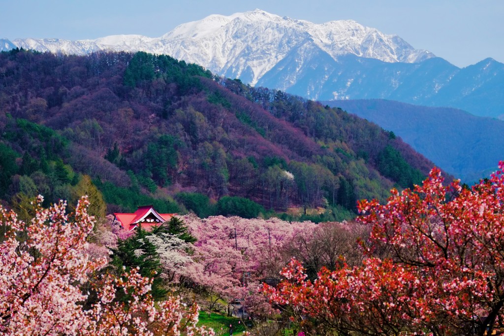 高遠遠望