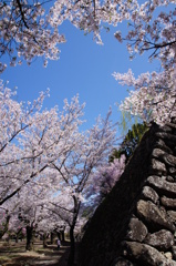 歴史の重み