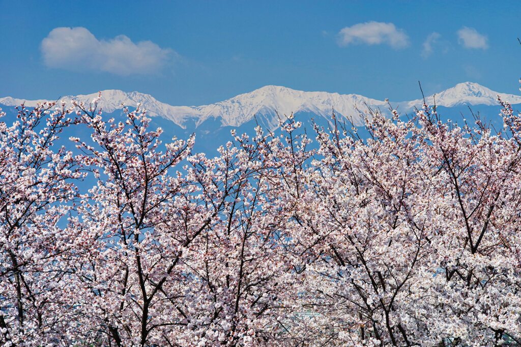 霞空
