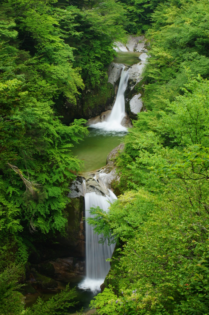 流れ