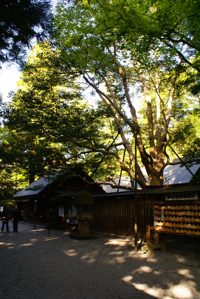 天岩戸神社