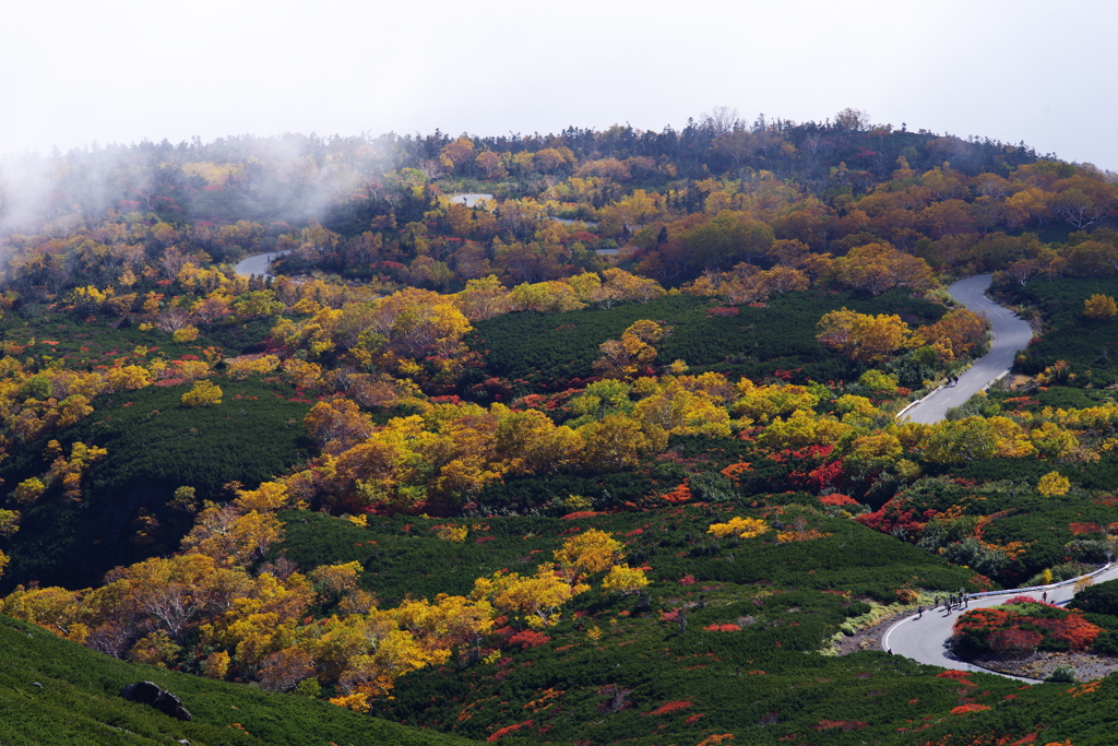 乗鞍岳 紅葉2