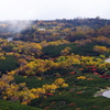 乗鞍岳 紅葉2