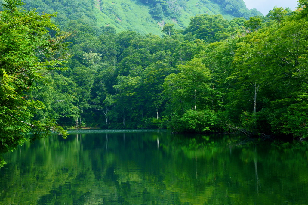 夏色の湖畔
