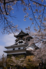 犬山城天守閣 犬山城天守閣
