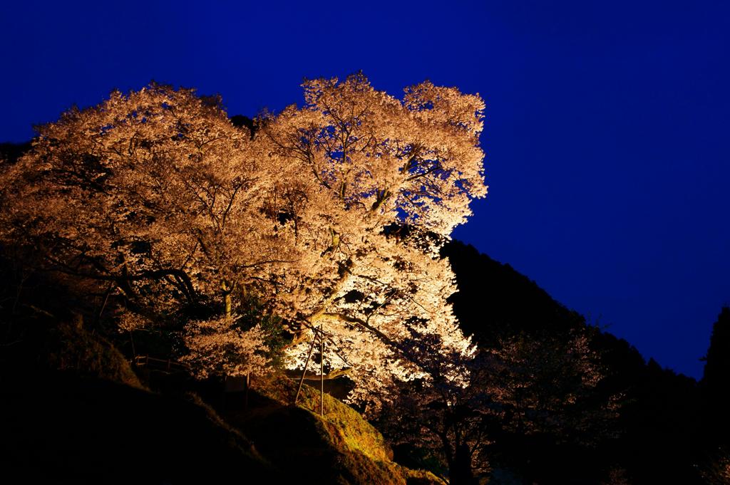 藍に浮かぶ