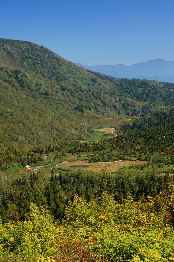 栂池自然園全景