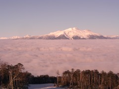 暮れる雲海