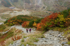 秋色下山道