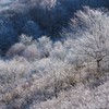 曇天の夜が明け③