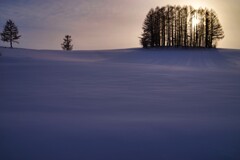 雪原の暮れ