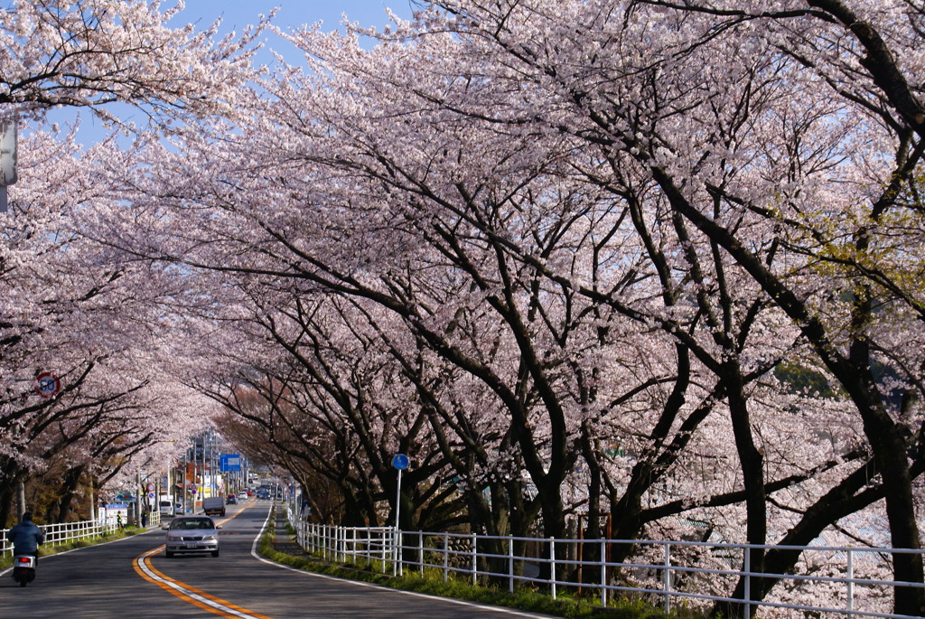 県道27号