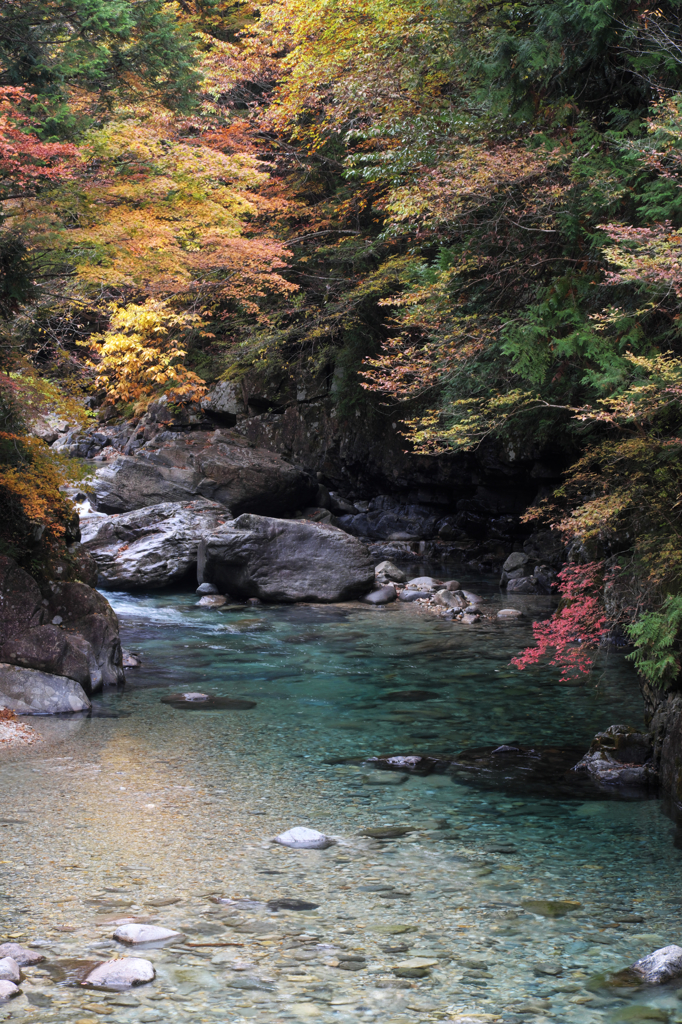 秋行く流れ