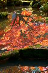 水鏡