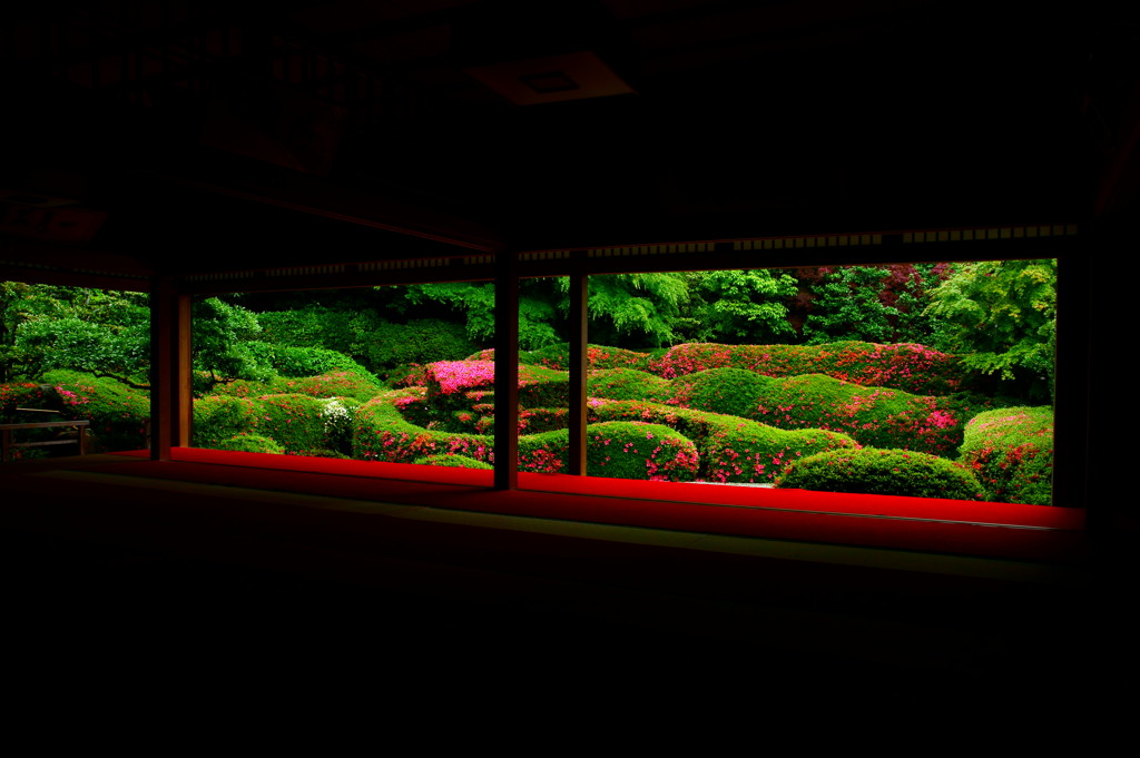 露濡れの庭園